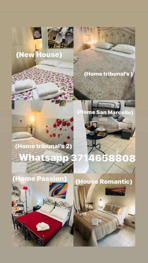 House Diamante 194 Apartment *